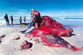 blown up bodies