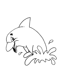 dolphin coloring book