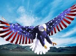 bald eagle flag