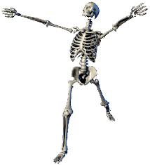 skeleton images