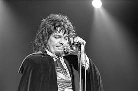 Captain Beefhearts 10