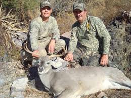 coues whitetail