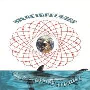 Aterciopelados - Caribe At