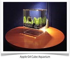 aquariums cube