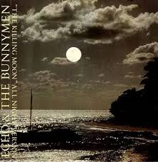Echo & The Bunnymen - Polly