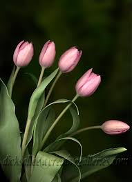 fine art flower