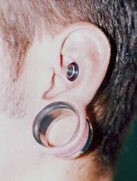 gauged earrings