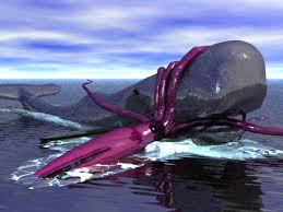 architeuthis dux