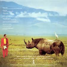 Adrian Belew - Lone Rhino