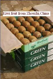 dried kiwi