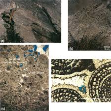 fibrous cement