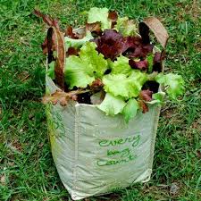 container lettuce