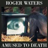Roger Waters - Chain Of Life