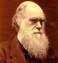 c darwin
