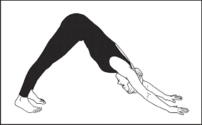 yoga downward dog