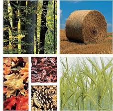 recursos naturales de brasil