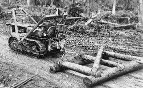 d4 caterpillar