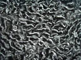 lamb fur