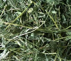 alfalfa hay