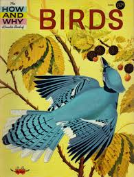 books about birds
