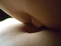 belly navel