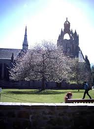 aberdeen university