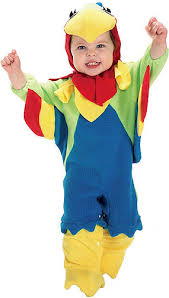 polly the parrot