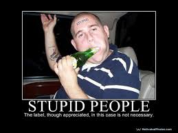 633765207047839855-StupidPeople.jpg&t=1