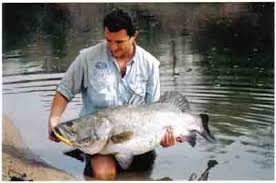 poisson rivière