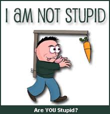funny quizzes