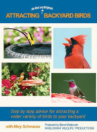 birding dvd