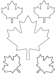 maple leaf