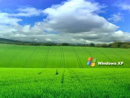 обои для windows xp