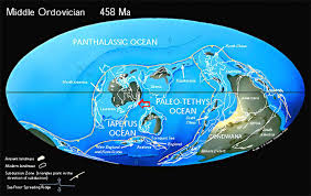 ordovician period