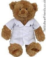 doctor bear