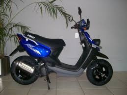 bws 100