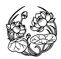 lotus blossoms
