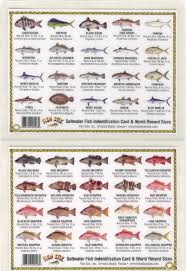 freshwater fish identification