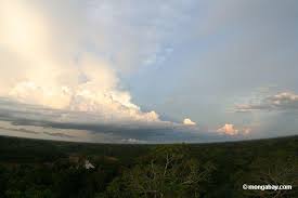 afternoon on the amazon