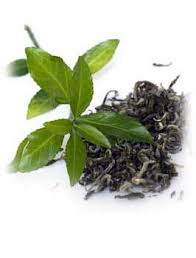 green tea leaves