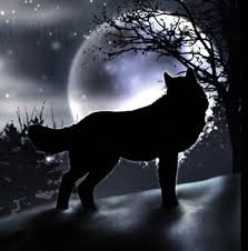 wolf and moon