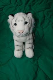 petit tigre blanc