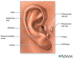 ear cancer