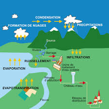 le cycle de leau
