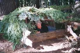 wilderness shelters
