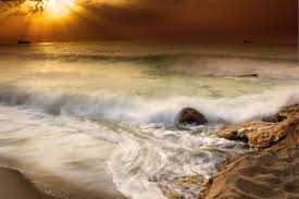 gold sea