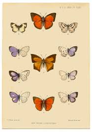 optical illusions for kids printable