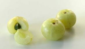 amla indian gooseberry