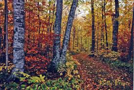 fall color peak in door county