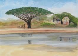 pictures acacia tree
